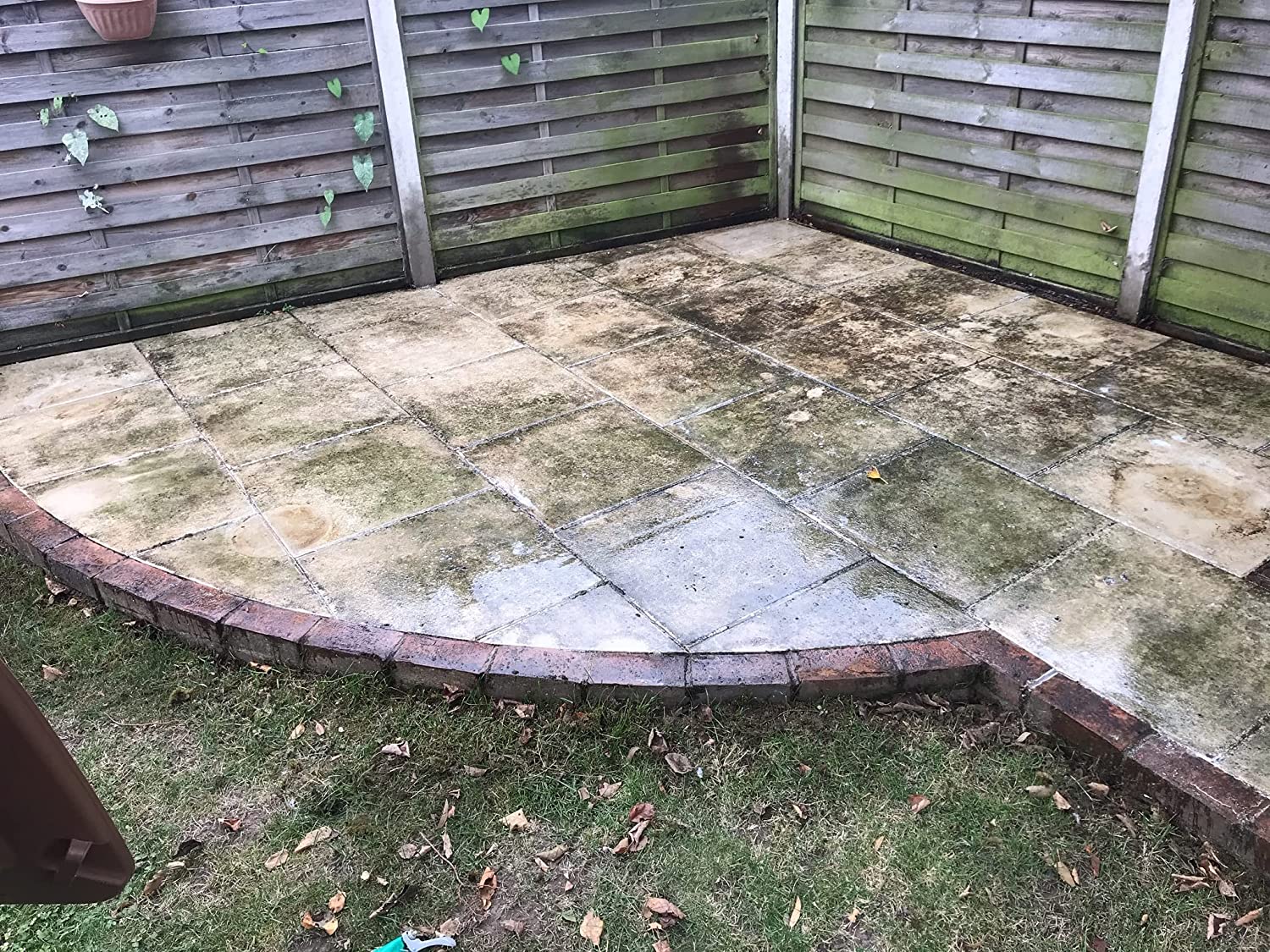 91t7TIGwoxL._SL1500_ Dlažba porostlá mechem a černotou